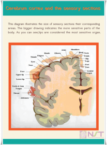 http://159.223.47.72/about-dgpa/brain-and-fingerprint/